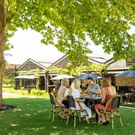 A group of people sitting at a table with green grass, under a shaded green tree